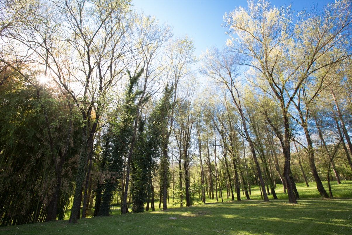 lorem ipsum dolor sit