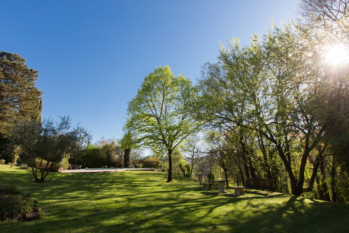 lorem ipsum dolor sit