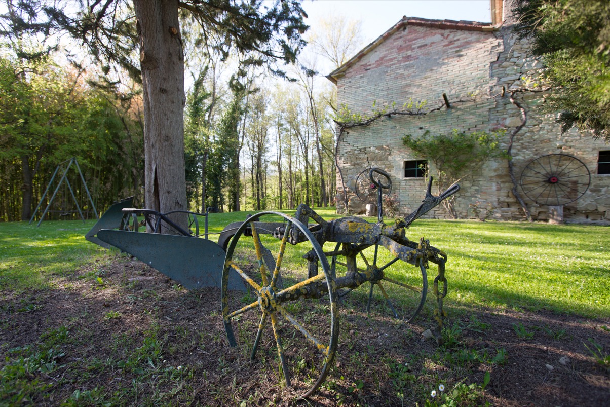 lorem ipsum dolor sit