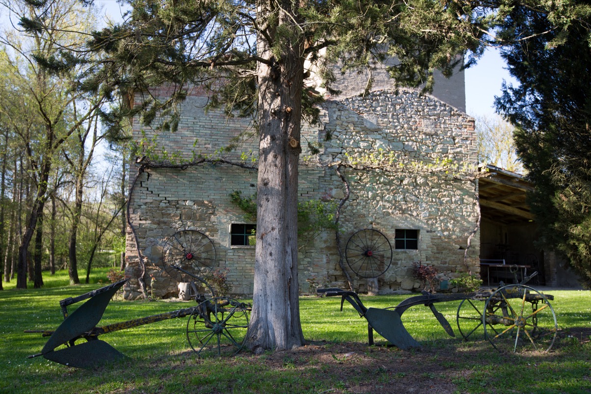 lorem ipsum dolor sit