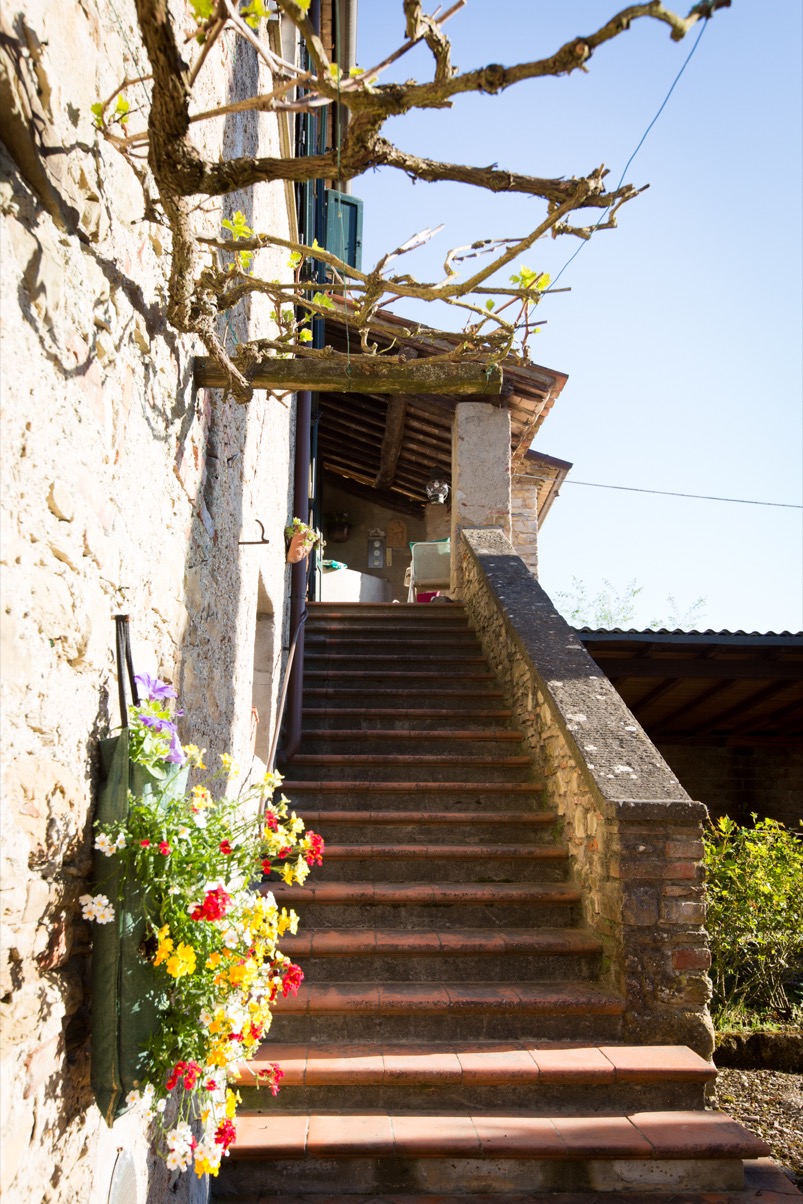 lorem ipsum dolor sit