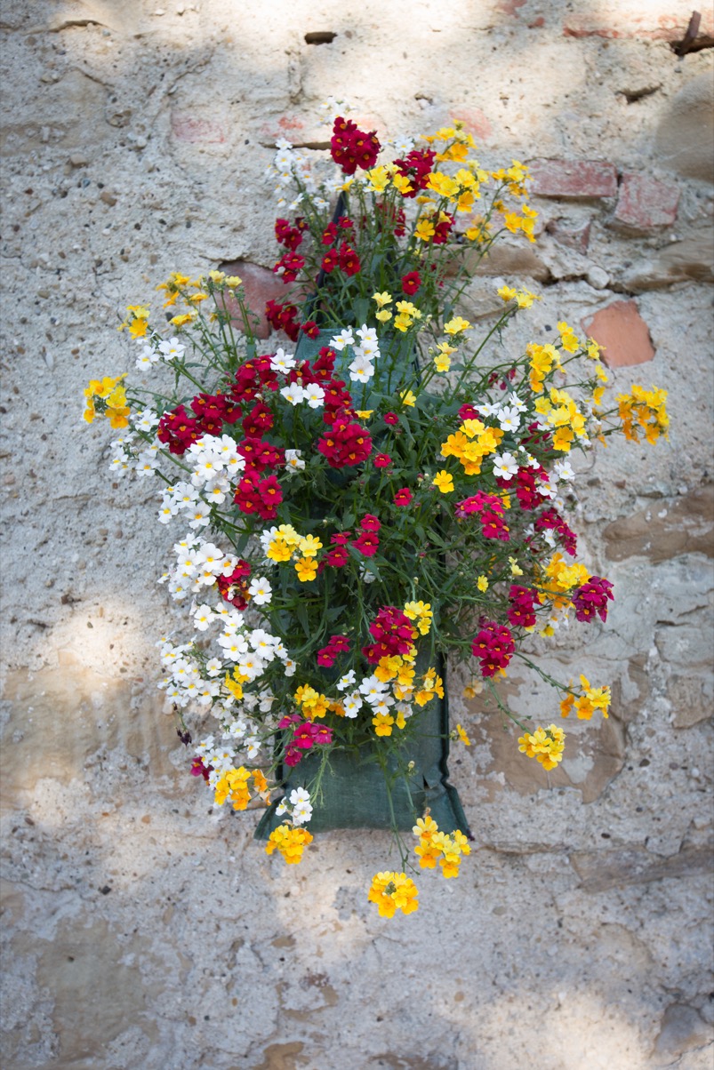 lorem ipsum dolor sit